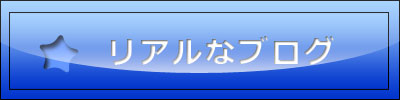 リアルなブログ